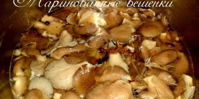 Рецепт маринованных вешенок
