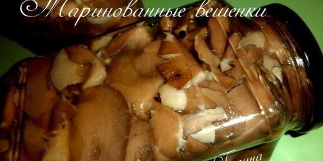 Рецепт маринованных вешенок