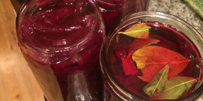 Рецепт свеклы маринованной