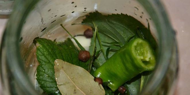 Рецепт острых огурчиков на зиму