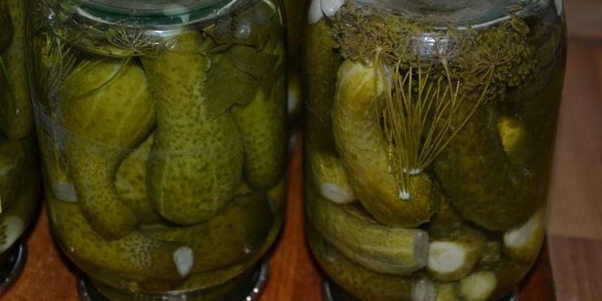 Рецепт острых огурчиков на зиму