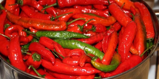 Рецепт перца чили на зиму
