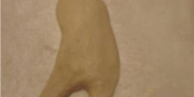 Рецепт булочек с повидлом мышка джерри