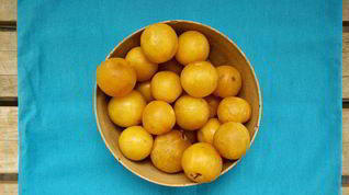 Рецепт Повидла из алычи