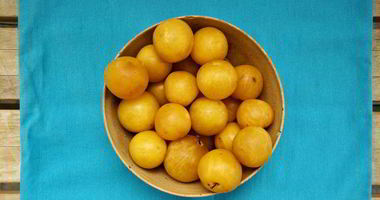 Рецепт Повидла из алычи