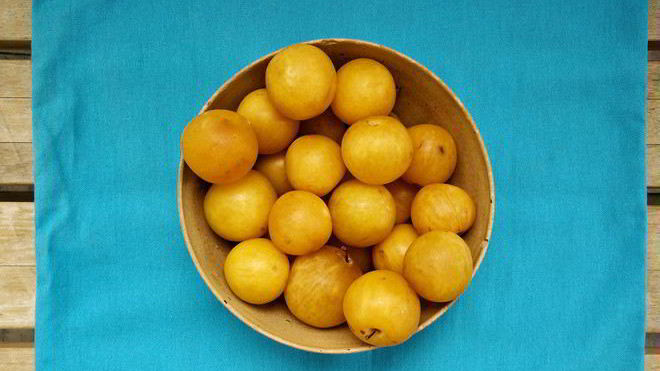 Рецепт повидла из алычи