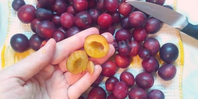 Рецепт сливового повидла из слив на зиму