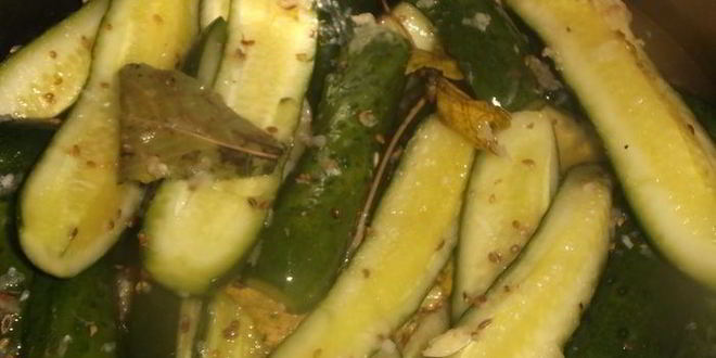 Рецепт малосольных огурчиков без рассола