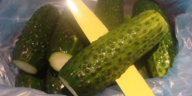 Рецепт малосольных огурцов без рассола