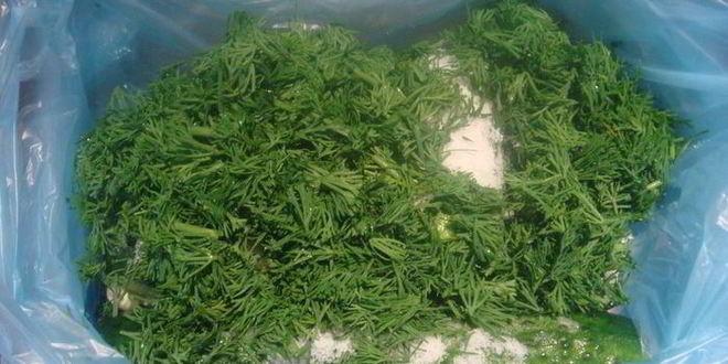 Рецепт малосольных огурцов без рассола