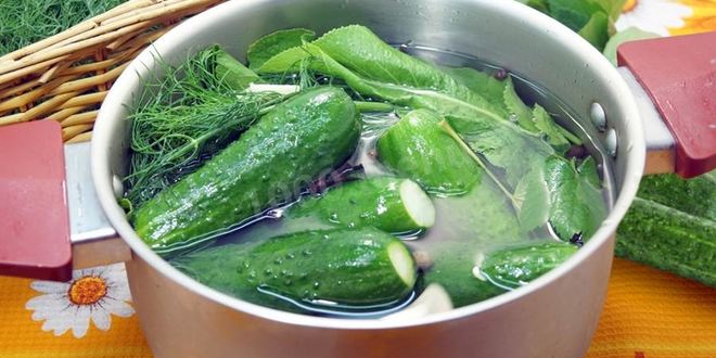 Рецепт Малосольных огурцов с листьями ежевики