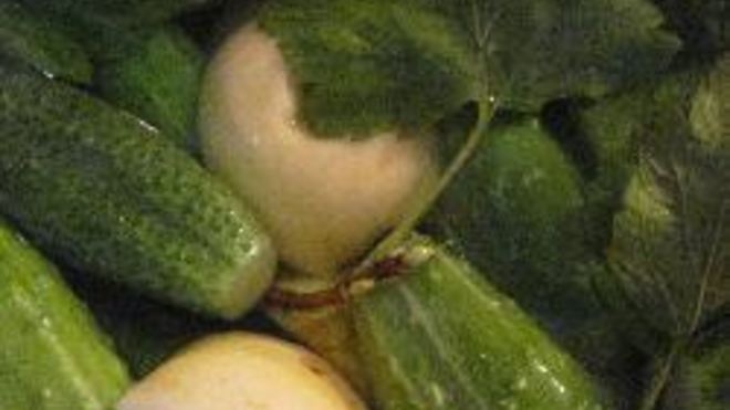 Рецепт малосольных огурцов с яблоками