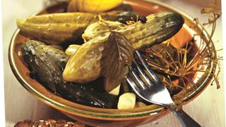 Рецепт Малосольных огурцов в банке