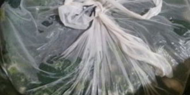 Рецепт малосольных огурцов в минералке