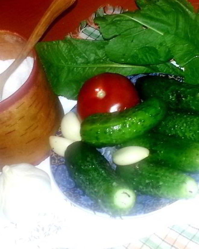 Рецепт малосольных огурцов всухую