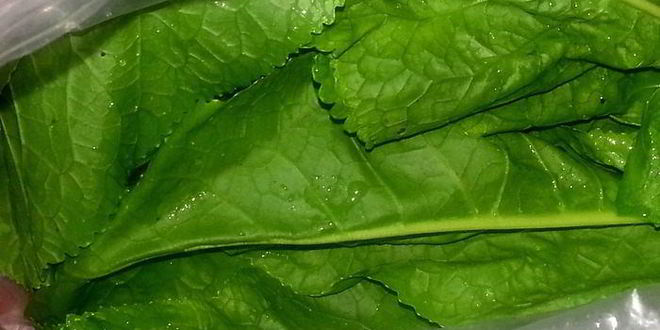 Рецепт малосольных огурцов всухую