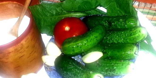 Рецепт малосольных огурцов всухую