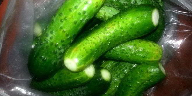 Рецепт малосольных огурцов всухую