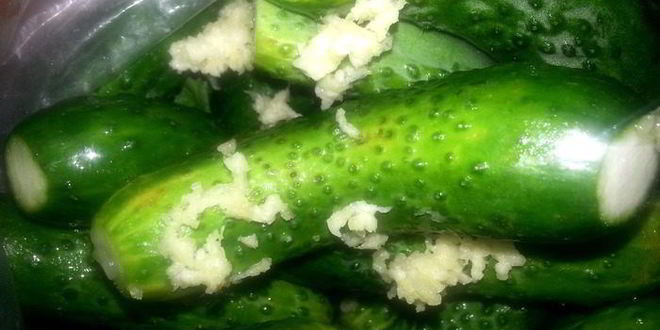 Рецепт малосольных огурцов всухую