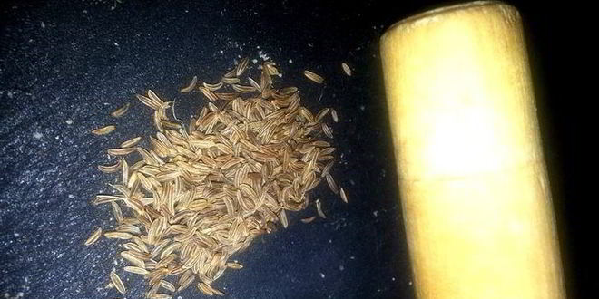 Рецепт малосольных огурцов всухую