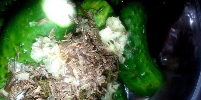 Рецепт малосольных огурцов всухую