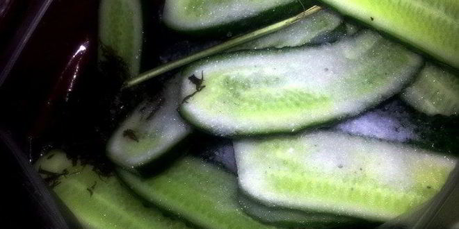 Рецепт малосольных огурцов всухую