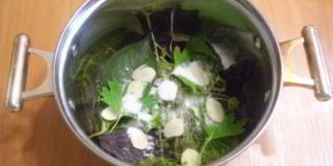 Рецепт малосольных огурцов