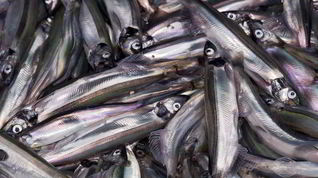 Рецепт Мойвы пряного посола