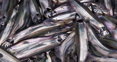 Рецепт Мойвы пряного посола