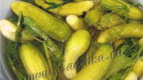 Рецепт Огурцов малосольных