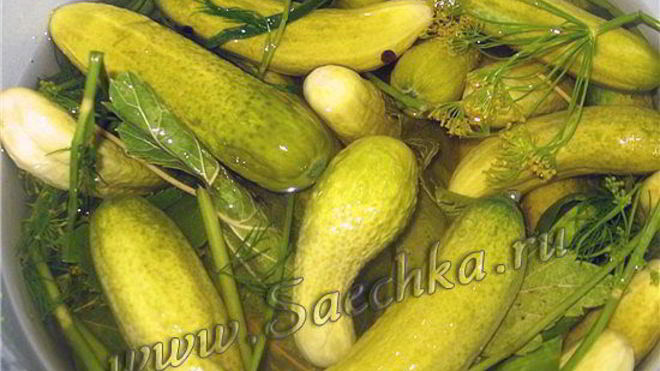 Рецепт огурцов малосольных