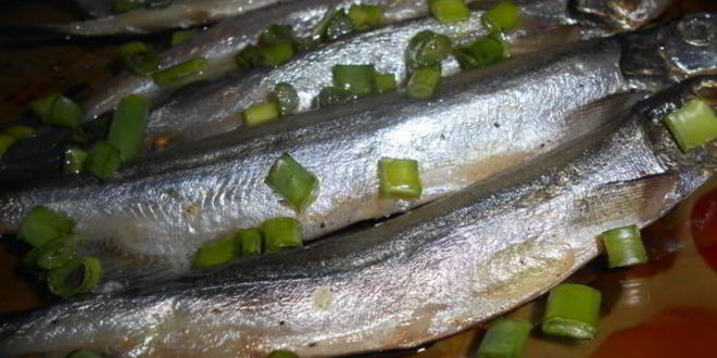 Рецепт соленой мойвы по-домашнему