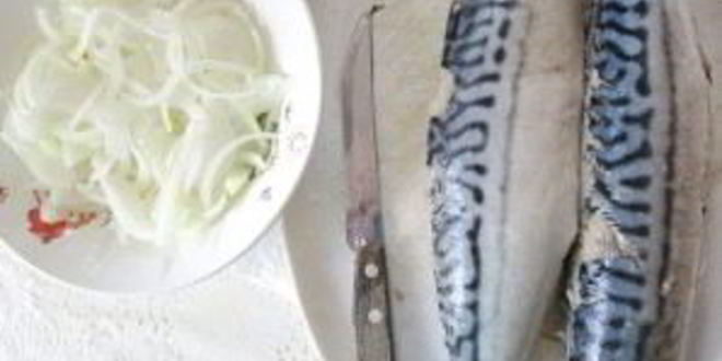 Рецепт соленой скумбрии в рассоле