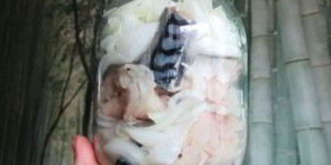 Рецепт соленой скумбрии в рассоле