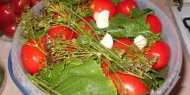 Рецепт соленых помидоров без закатки