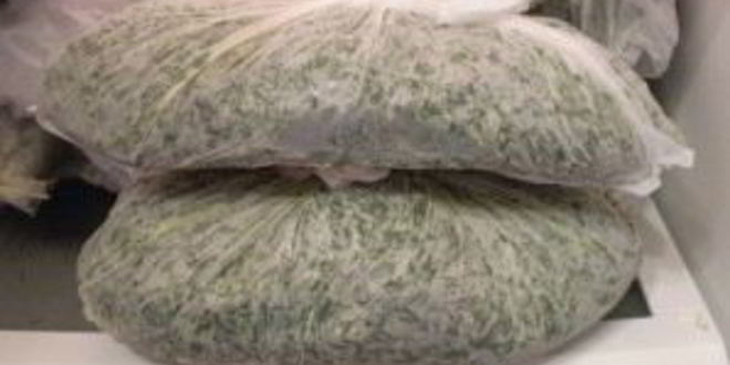 Рецепт укропа на зиму