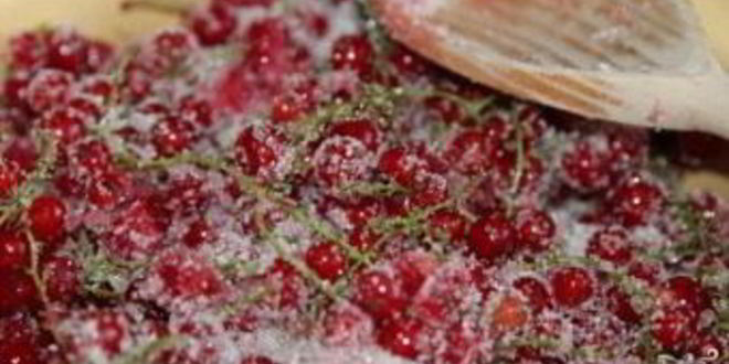 Рецепт густого варенья из красной смородины