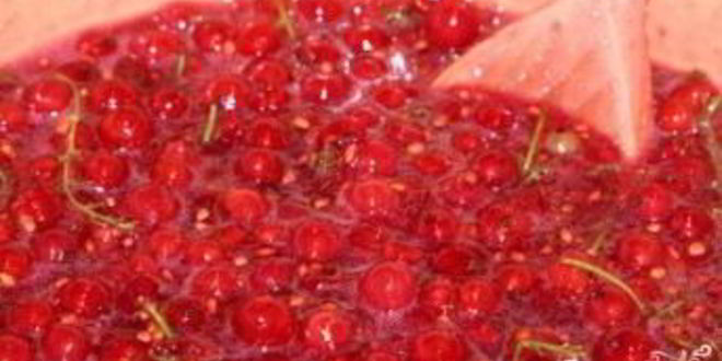 Рецепт густого варенья из красной смородины