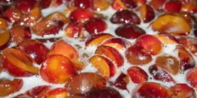 Рецепт варенья из алычи без косточек