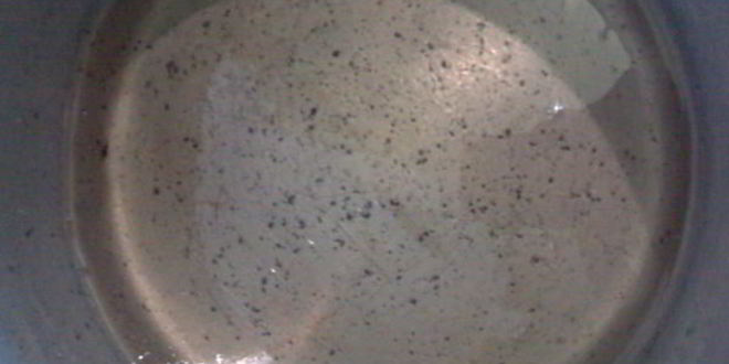 Рецепт варенья из белой шелковицы