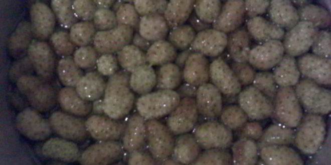 Рецепт варенья из белой шелковицы