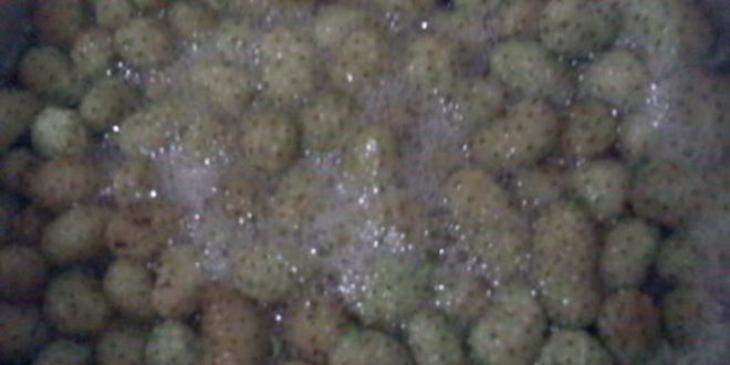 Рецепт варенья из белой шелковицы