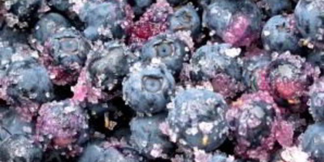 Рецепт варенья из черники в микроволновке