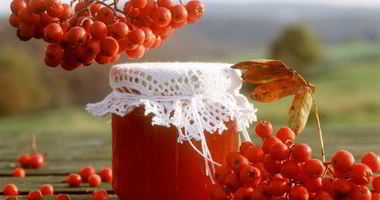 Рецепт Варенья из лесной рябины