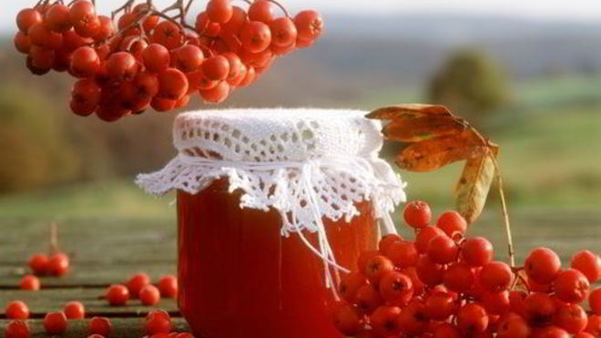 Рецепт варенья из лесной рябины