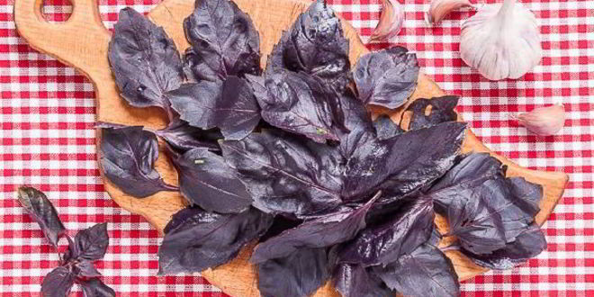 Рецепт вяленых помидоров