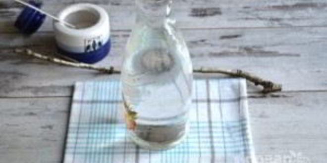 Рецепт заготовки березового сока