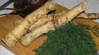 Рецепт Заготовки хрена на зиму