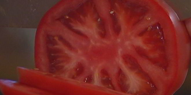 Рецепт бургеров с котлетками из тунца и авокадо