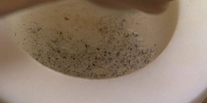 Рецепт детских гамбургеров с домашним кетчупом